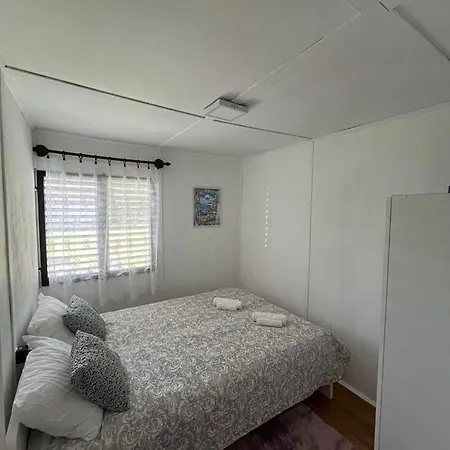 Hibiscus * バラトンフェニヴェシュ