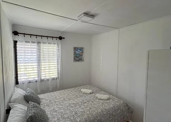 Hibiscus * بالاتونفينيفيس